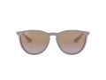 Ray-Ban Erika Lunettes de Soleil RB 4171 6000/68