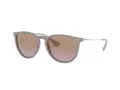 Ray-Ban Erika Lunettes de Soleil RB 4171 6000/68
