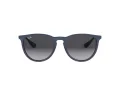 Ray-Ban Erika Lunettes de Soleil RB 4171 6002/8G