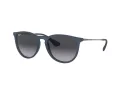 Ray-Ban Erika Lunettes de Soleil RB 4171 6002/8G