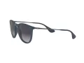 Ray-Ban Erika Lunettes de Soleil RB 4171 6002/8G