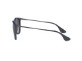 Ray-Ban Erika Lunettes de Soleil RB 4171 6002/8G