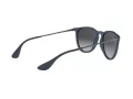 Ray-Ban Erika Lunettes de Soleil RB 4171 6002/8G