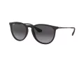Ray-Ban Erika Lunettes de Soleil RB 4171 622/8G