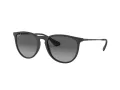 Ray-Ban Erika Lunettes de Soleil RB 4171 622/T3
