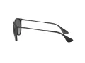 Ray-Ban Erika Lunettes de Soleil RB 4171 622/T3