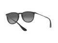 Ray-Ban Erika Lunettes de Soleil RB 4171 622/T3