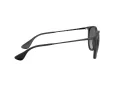 Ray-Ban Erika Lunettes de Soleil RB 4171 622/T3