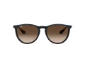 Ray-Ban Erika Lunettes de Soleil RB 4171 6315/13