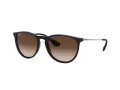 Ray-Ban Erika Lunettes de Soleil RB 4171 6315/13