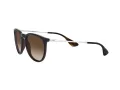 Ray-Ban Erika Lunettes de Soleil RB 4171 6315/13