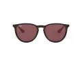 Ray-Ban Erika Lunettes de Soleil RB 4171 6391/75