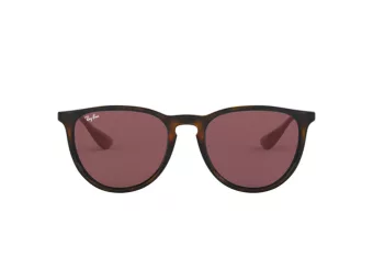 Ray-Ban Erika Lunettes de Soleil RB 4171 6391/75
