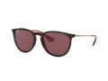 Ray-Ban Erika Lunettes de Soleil RB 4171 6391/75