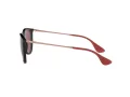 Ray-Ban Erika Lunettes de Soleil RB 4171 6391/75