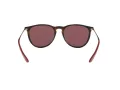 Ray-Ban Erika Lunettes de Soleil RB 4171 6391/75