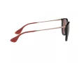 Ray-Ban Erika Lunettes de Soleil RB 4171 6391/75