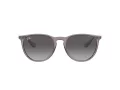 Ray-Ban Erika Lunettes de Soleil RB 4171 6513/8G