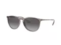 Ray-Ban Erika Lunettes de Soleil RB 4171 6513/8G