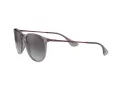 Ray-Ban Erika Lunettes de Soleil RB 4171 6513/8G
