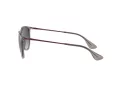 Ray-Ban Erika Lunettes de Soleil RB 4171 6513/8G