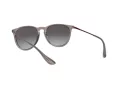 Ray-Ban Erika Lunettes de Soleil RB 4171 6513/8G