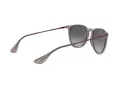 Ray-Ban Erika Lunettes de Soleil RB 4171 6513/8G