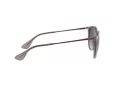 Ray-Ban Erika Lunettes de Soleil RB 4171 6513/8G