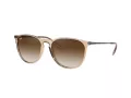 Ray-Ban Erika Lunettes de Soleil 4171 651413