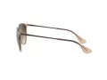 Ray-Ban Erika Lunettes de Soleil 4171 651413