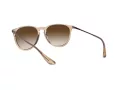 Ray-Ban Erika Lunettes de Soleil 4171 651413