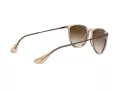 Ray-Ban Erika Lunettes de Soleil 4171 651413