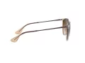 Ray-Ban Erika Lunettes de Soleil 4171 651413