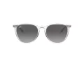 Ray-Ban Erika Lunettes de Soleil RB 4171 651611