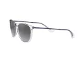 Ray-Ban Erika Lunettes de Soleil RB 4171 651611