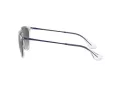 Ray-Ban Erika Lunettes de Soleil RB 4171 651611