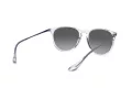 Ray-Ban Erika Lunettes de Soleil RB 4171 651611