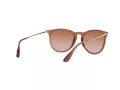 Ray-Ban Erika Lunettes de Soleil RB 4171 6590/13