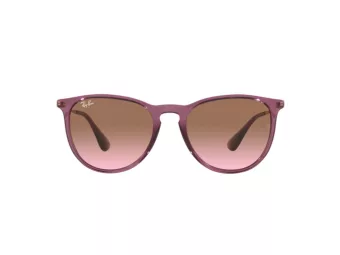 Ray-Ban Erika Lunettes de Soleil RB 4171 6591/14