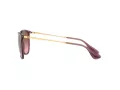 Ray-Ban Erika Lunettes de Soleil RB 4171 6591/14