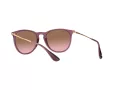 Ray-Ban Erika Lunettes de Soleil RB 4171 6591/14