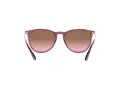 Ray-Ban Erika Lunettes de Soleil RB 4171 6591/14