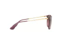 Ray-Ban Erika Lunettes de Soleil RB 4171 6591/14