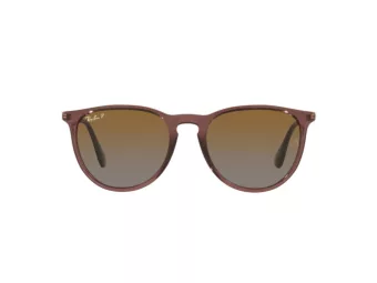 Ray-Ban Erika Lunettes de Soleil RB 4171 6593/T5