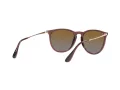 Ray-Ban Erika Lunettes de Soleil RB 4171 6593/T5