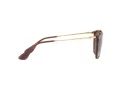 Ray-Ban Erika Lunettes de Soleil RB 4171 6593/T5