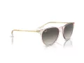 Ray-Ban Erika Lunettes de Soleil RB 4171 674211