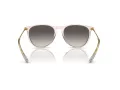 Ray-Ban Erika Lunettes de Soleil RB 4171 674211