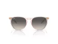 Ray-Ban Erika Lunettes de Soleil RB 4171 674211