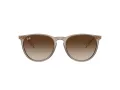 Ray-Ban Erika Lunettes de Soleil RB 4171 674413